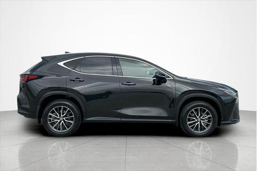 2024 Lexus NX 250 Base
