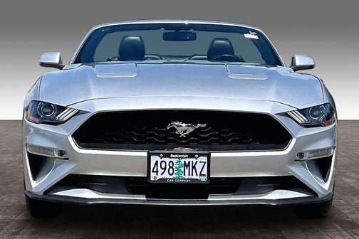 Ingot Silver Metallic 2019 Ford Mustang EcoBoost Premium