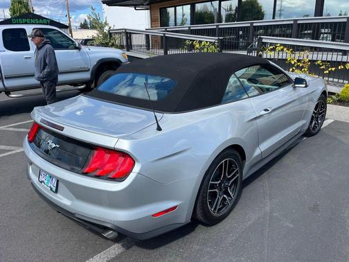 Ingot Silver Metallic 2019 Ford Mustang EcoBoost Premium