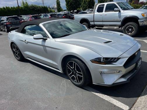 Ingot Silver Metallic 2019 Ford Mustang EcoBoost Premium