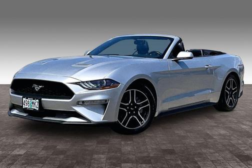 Ingot Silver Metallic 2019 Ford Mustang EcoBoost Premium