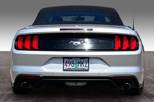 Ingot Silver Metallic 2019 Ford Mustang EcoBoost Premium