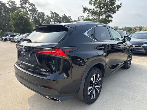 2019 Lexus NX 300 F Sport