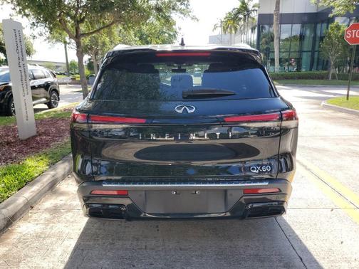 Mineral Black 2023 INFINITI QX60 Luxe