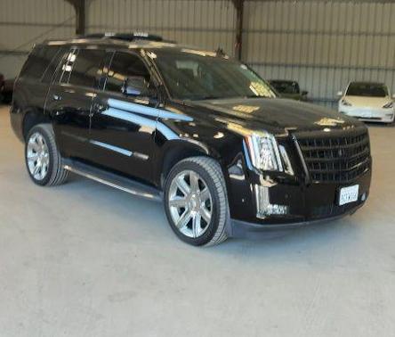 Black Raven 2018 Cadillac Escalade Luxury
