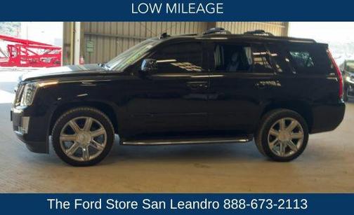 Black Raven 2018 Cadillac Escalade Luxury