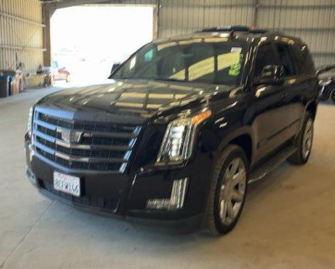 Black Raven 2018 Cadillac Escalade Luxury