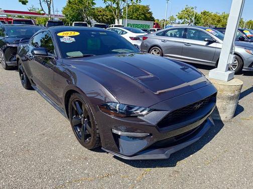Dark Matter Gray Metallic 2022 Ford Mustang EcoBoost