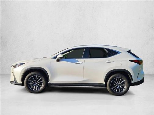 Eminent White Pearl 2025 Lexus NX 250 Premium