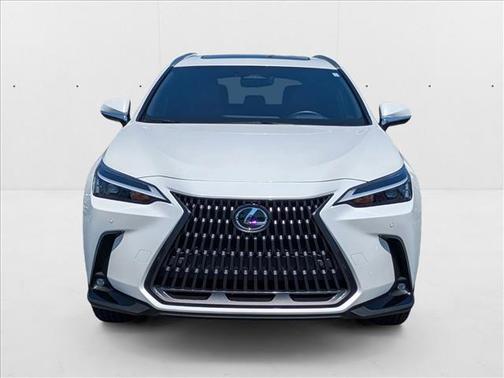 2024 Lexus NX 350h Premium