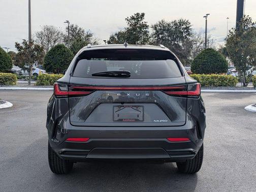 2025 Lexus NX 250 Base