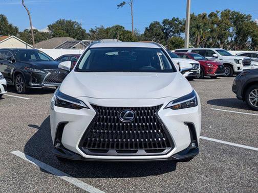 2025 Lexus NX 250 Base