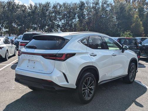 2025 Lexus NX 250 Base