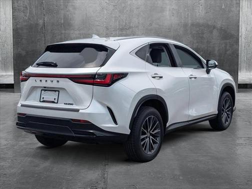 2025 Lexus NX 250 Premium
