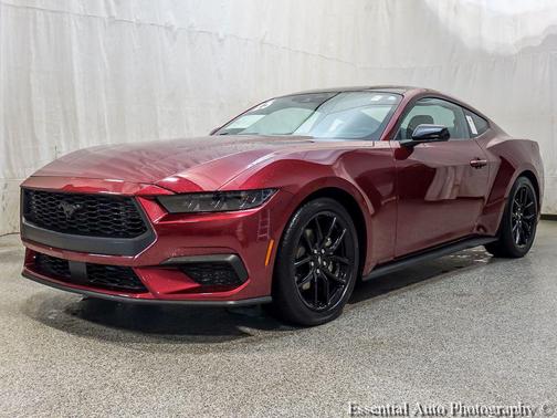 Magenta 2025 Ford Mustang EcoBoost Premium