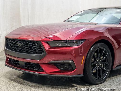 Magenta 2025 Ford Mustang EcoBoost Premium