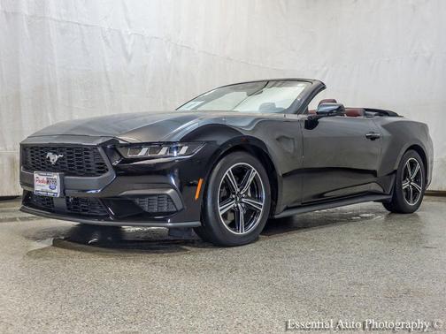 Shadow Black 2025 Ford Mustang EcoBoost Premium