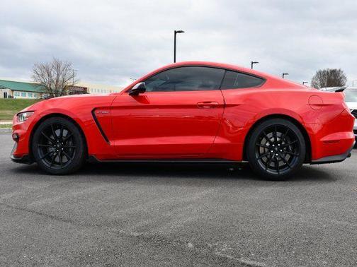 2016 Ford Shelby GT350 Base