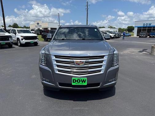 2019 Cadillac Escalade ESV Platinum