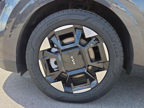 Panthera Metal 2025 Kia Carnival EX