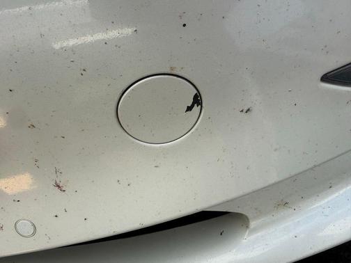 Pearl White Multi-Coat 2020 Tesla Model 3 Performance