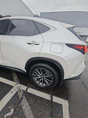 2025 Lexus NX 250 Premium