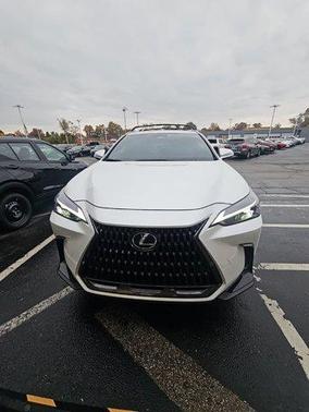 2025 Lexus NX 250 Premium
