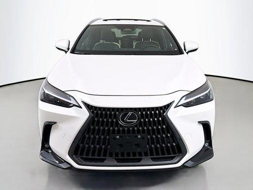 2024 Lexus NX 350h Premium
