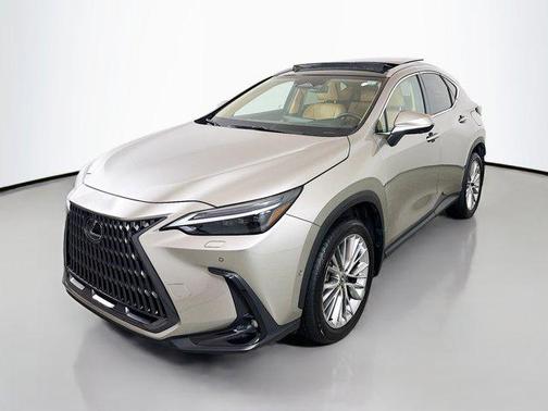 2025 Lexus NX 350 Luxury