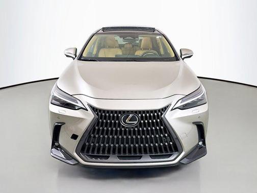 2025 Lexus NX 350 Luxury