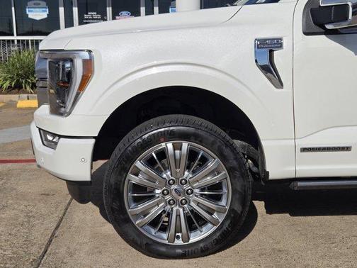 2021 Ford F-150 Platinum