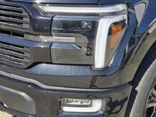 Agate Black Metallic 2025 Ford F-150 Platinum
