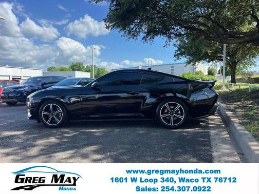 Shadow Black 2025 Ford Mustang EcoBoost