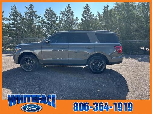 2024 Ford Expedition Timberline