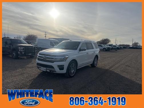 2023 Ford Expedition Platinum