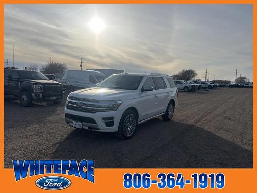 2023 Ford Expedition Platinum