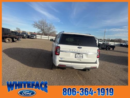2023 Ford Expedition Platinum