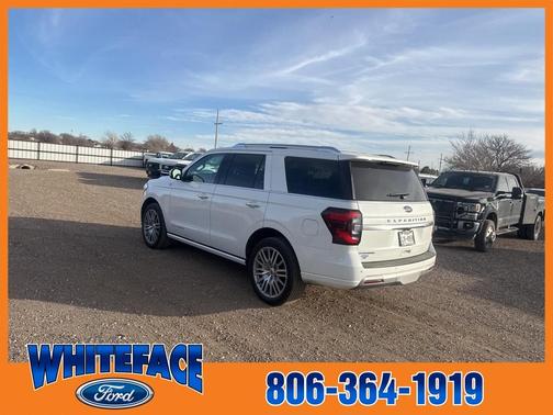 2023 Ford Expedition Platinum