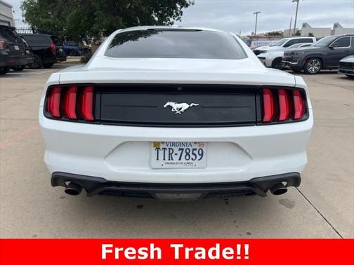 2019 Ford Mustang EcoBoost