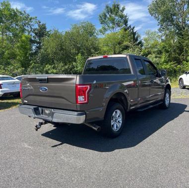 Caribou Metallic 2017 Ford F-150 XL