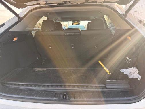 2019 Lexus RX 350 F Sport