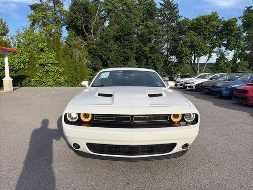 White Knuckle Clearcoat 2019 Dodge Challenger SXT