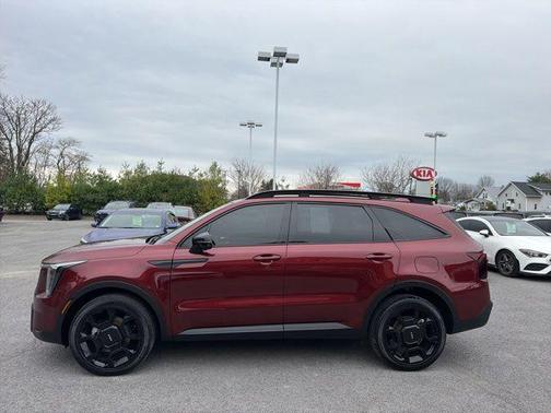 Red 2024 Kia Sorento SX