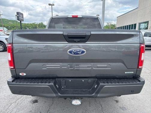 Magnetic Metallic 2019 Ford F-150 XL