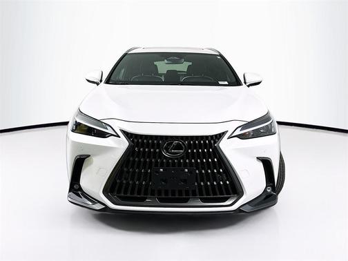 2024 Lexus NX 250 Premium