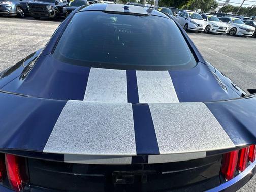 Blue Metallic 2019 Ford Mustang GT Premium