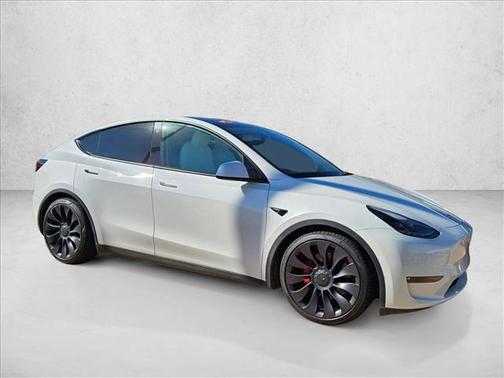 2021 Tesla Model Y Performance Dual Motor All-Wheel Drive