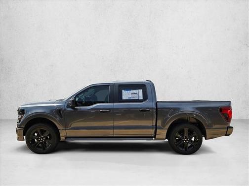 Carbonized Gray Metallic 2026 Ford F-150 STX