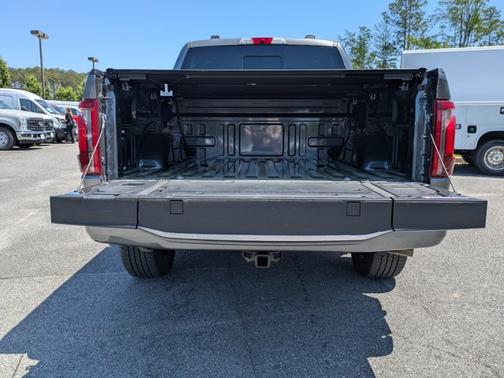 CARBONIZED GRAY METALLIC 2025 Ford F-150 PLATINUM