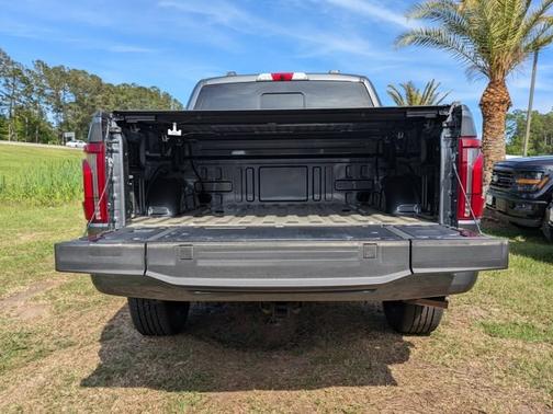 CARBONIZED GRAY METALLIC 2025 Ford F-150 PLATINUM